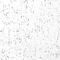 One of the exhibition works: black dots and spots on white background.