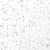 One of the exhibition works: black dots and spots on white background.