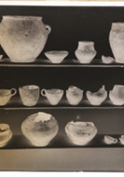 Photo of clay pots standing on shelves.