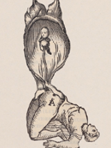 One of the exhibition works.