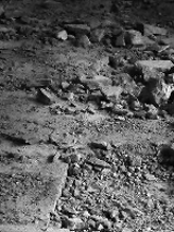 Black and white photo from the exhibition