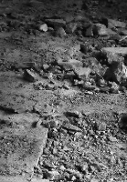 Black and white photo from the exhibition