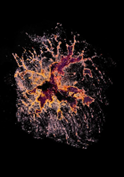 The photo shows a color spot in warm shades of red, pink, yellow and brown on a black background.