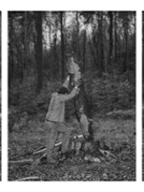 Black and white photo of a man shoring up a tree trunk.