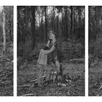 Black and white photo of a man shoring up a tree trunk.
