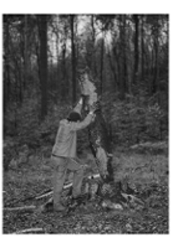Black and white photo of a man shoring up a tree trunk.