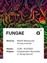 Exhibition poster: an abstract drawing showing numerous lines in red, green and yellow colours and information about the exhibition.