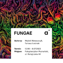 Exhibition poster: an abstract drawing showing numerous lines in red, green and yellow colours and information about the exhibition.