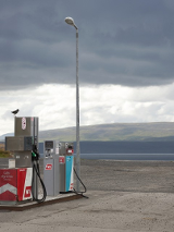 The photograph shows a small gas station with a bird sitting one one of the dispensers. An open landscape with gray clouds as a background.