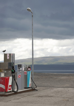 The photograph shows a small gas station with a bird sitting one one of the dispensers. An open landscape with gray clouds as a background.