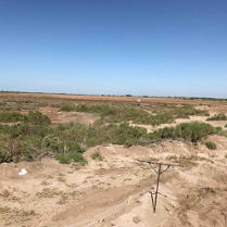 One of the exhibition works - photo of a land, partly sandy and partly covered with bushes. Blue sky in the background.