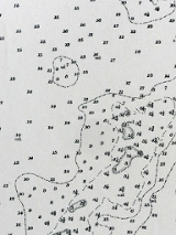 Black and white picture - various numbers, some of them linked with various lines.