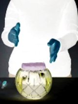 One of the artist's works