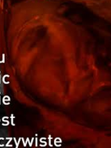 Photo of blurred face in red colors. On the left side, the title of the exhibition