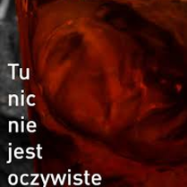 Photo of blurred face in red colors. On the left side, the title of the exhibition