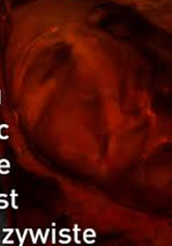 Photo of blurred face in red colors. On the left side, the title of the exhibition