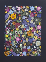 Photo of colourful flowers.