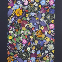 Photo of colourful flowers.