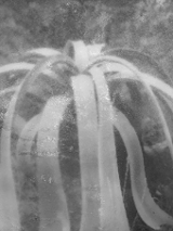 Exhibition: Piątkowo