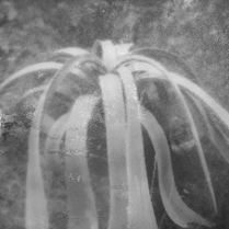 Exhibition: Piątkowo