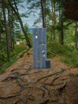 One of the exhibition works: a metal object standing on a path in a forest.