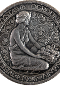 Silver medal - one of the exhibits of the exhibition
