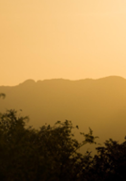 Photo of a giraffe; bushes and hills as a background.