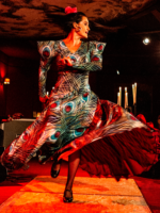Picture of a woman dancing flamenco
