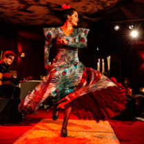 Picture of a woman dancing flamenco