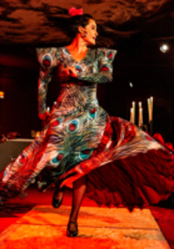 Picture of a woman dancing flamenco