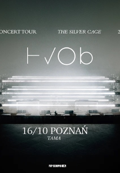 The concert poster
