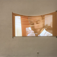 Illness is life. Life is illness.