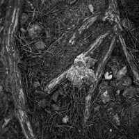 In the footsteps of masters