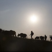 In the lens of a camera