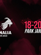 Fragment of the event poster: information about the festival.