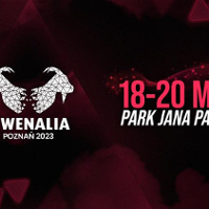 Fragment of the event poster: information about the festival.