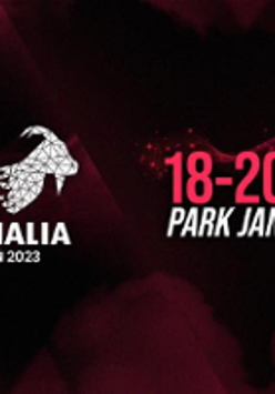 Fragment of the event poster: information about the festival.