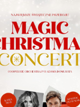 Poster with the concert title - red and golden letters on bright, with snowflakes, background.