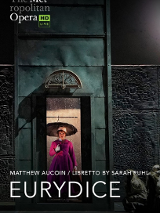 The poster shows a woman standing inside the hotel's elevator. The woman has an open umbrella because it is raining inside the elevator