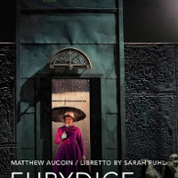 The poster shows a woman standing inside the hotel's elevator. The woman has an open umbrella because it is raining inside the elevator