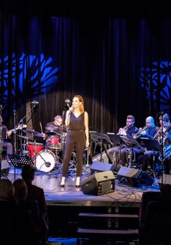 photo of MUSIC FROM THE POLISH TV SERIES OF THE SOCIALIST ERA