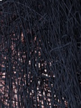 A dark-colored photograph of braided wicker twigs or cables, through which dim light shines through.