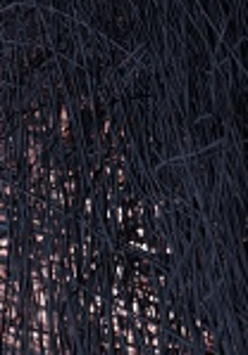 A dark-colored photograph of braided wicker twigs or cables, through which dim light shines through.