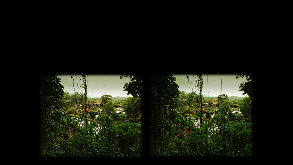 Stereo photography of a landscape with lush exotic plants.