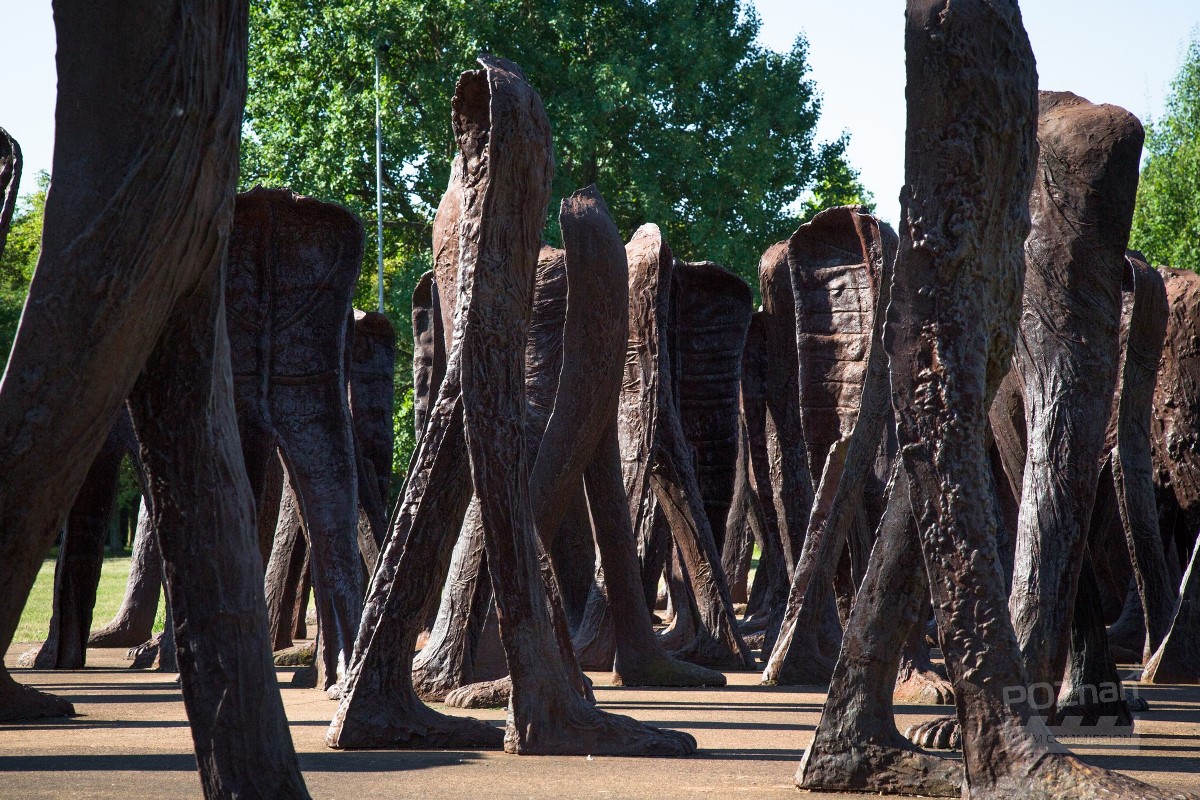 . - grafika artykułu