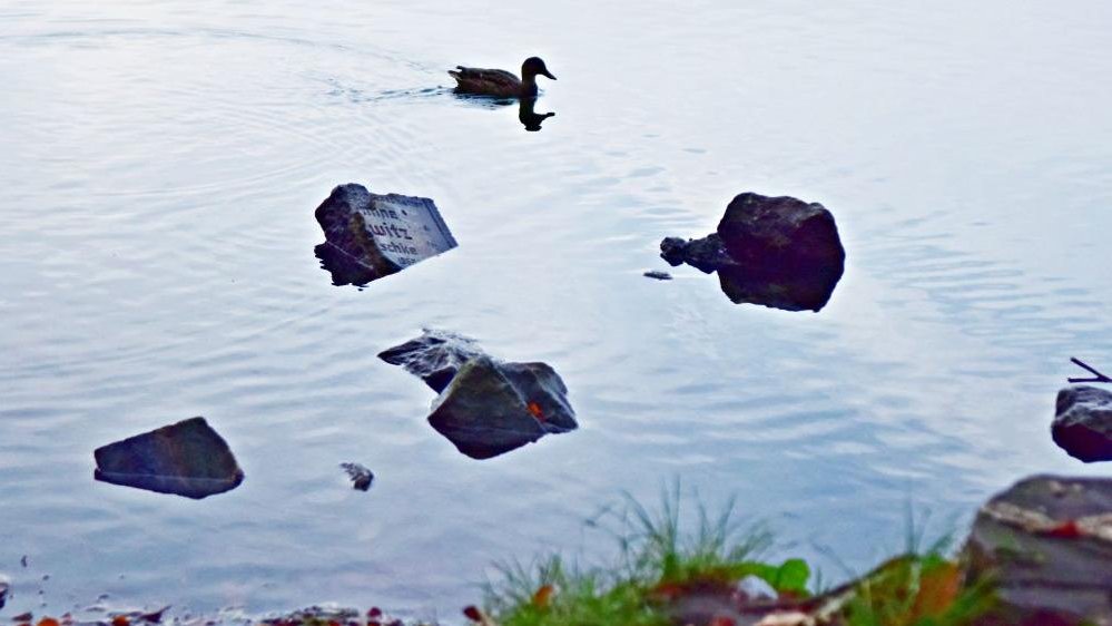 Fragment of tombstone at eastern bank of Lake Rusałka in November 2019. Photograph by Maciej Krajewski