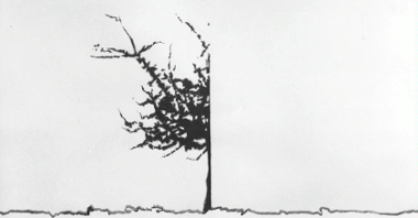 ANDRZEJ BEREZIAŃSKI, in the series "Jak rysować drzewo", 1978