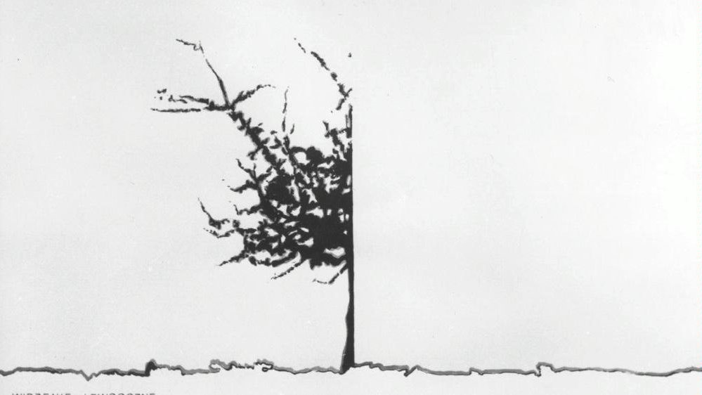 ANDRZEJ BEREZIAŃSKI, in the series "Jak rysować drzewo", 1978