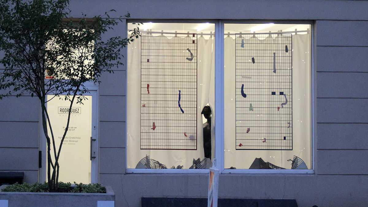 The entrance of Rodriguez Gallery in the evening: door and a big lighted window with elements of the exhibition.