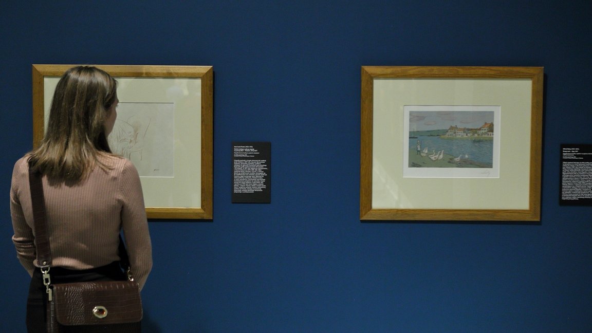 The picture from the exhibition: a woman watching two pictures hanging on a dark blue wall